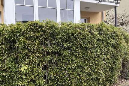 Wohnung Neu Isenburg - 2 Zimmer, 59 m&sup2;, 1.035&euro; | Angebot:26847324