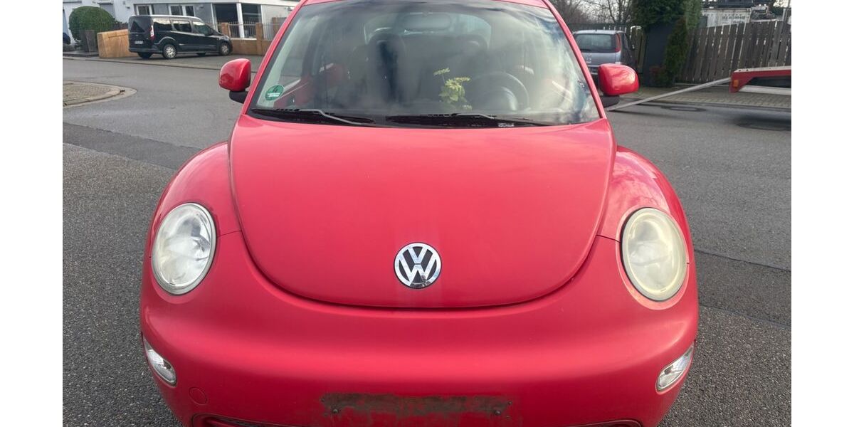 VW New Beetle 288.000 km 1.250 &euro; Speyer 67346