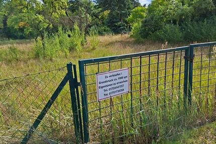 Baugrundstück an der Elbe, 29475 Gorleben Ringstraße zimmer