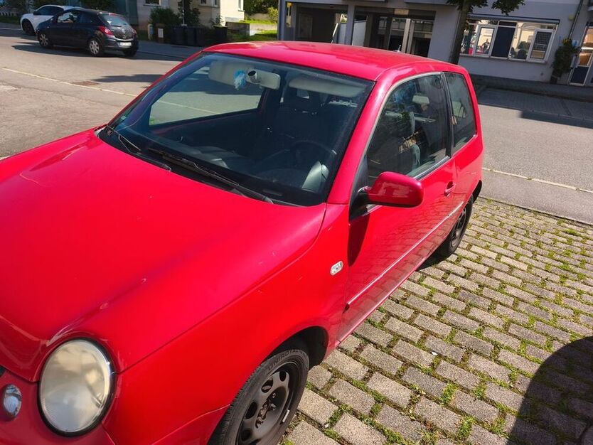 Lupo