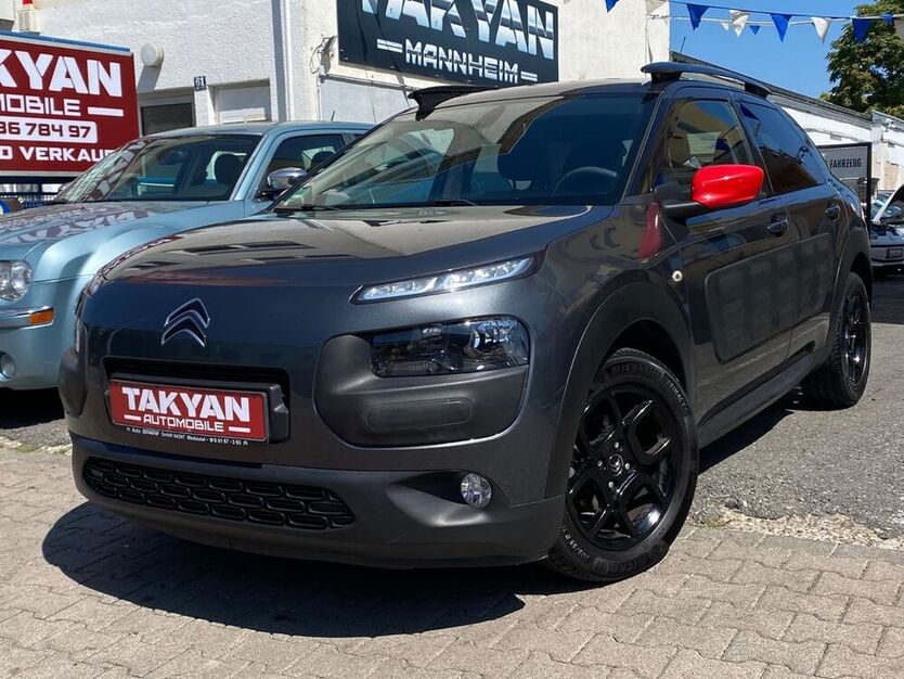 C4 Cactus