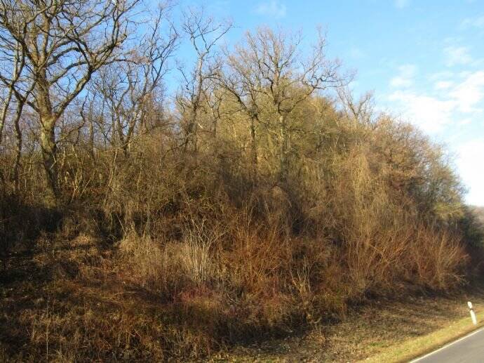 Grundstück Widdern - 25.000&euro; | Angebot:25700084