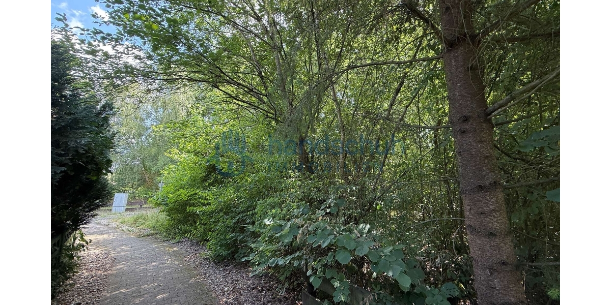 Bauplatz in Stromberg OT Schindeldorf - Grundstück Stromberg | Angebot:27250271