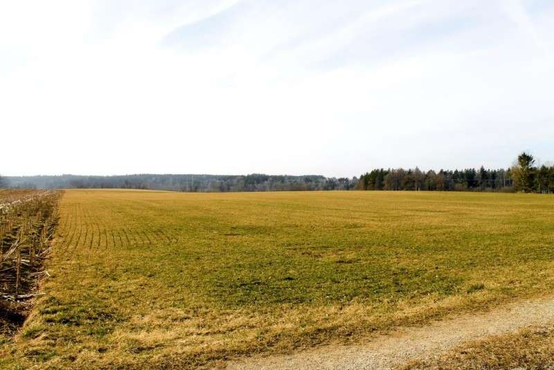Grundstück Mundraching Mundraching - 149.000&euro; | Angebot:26645032