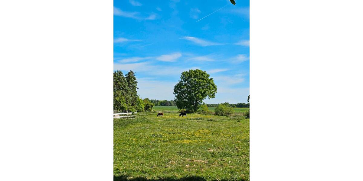 Einfamilienhaus Edewecht - 11 Zimmer, 300 m&sup2;, 465.000&euro; | Angebot:25640645