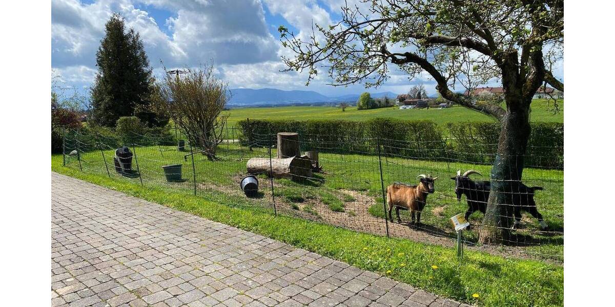 Mehrfamilienhaus, Wohnhaus Kirchanschöring Kothaich - 8 Zimmer, 210 m&sup2;, 750.000&euro; | Angebot:26345536