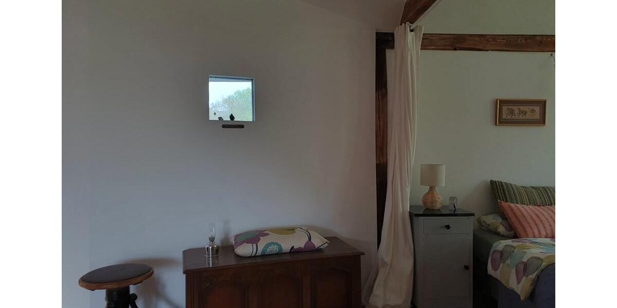 Loft - Studio - Atelier Solms - 3 Zimmer, 87 m&sup2;, 295.000&euro; | Angebot:27531071