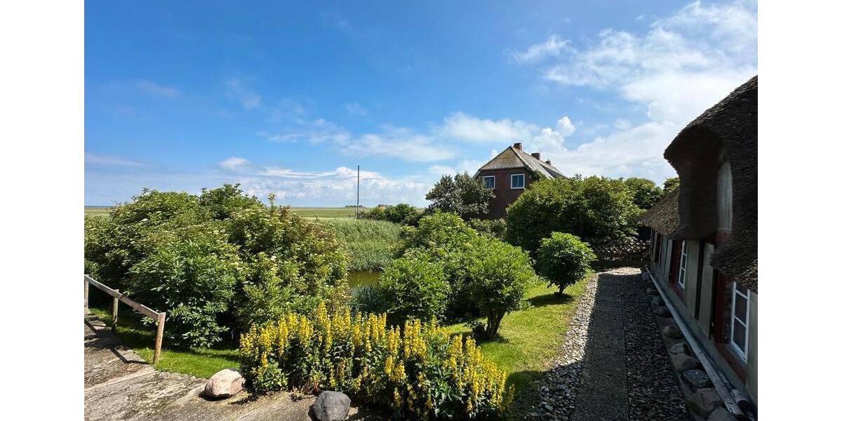 Bauernhaus, Landhaus Langeneß - 14 Zimmer, 285 m&sup2;, 685.000&euro; | Angebot:26129715
