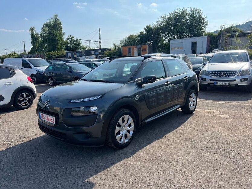 C4 Cactus