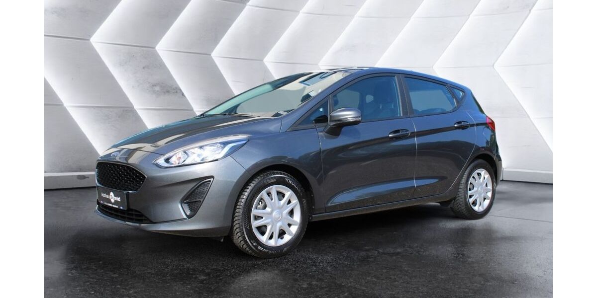 Ford Fiesta 29.900 km 12.900 &euro; Waldkirch 79183