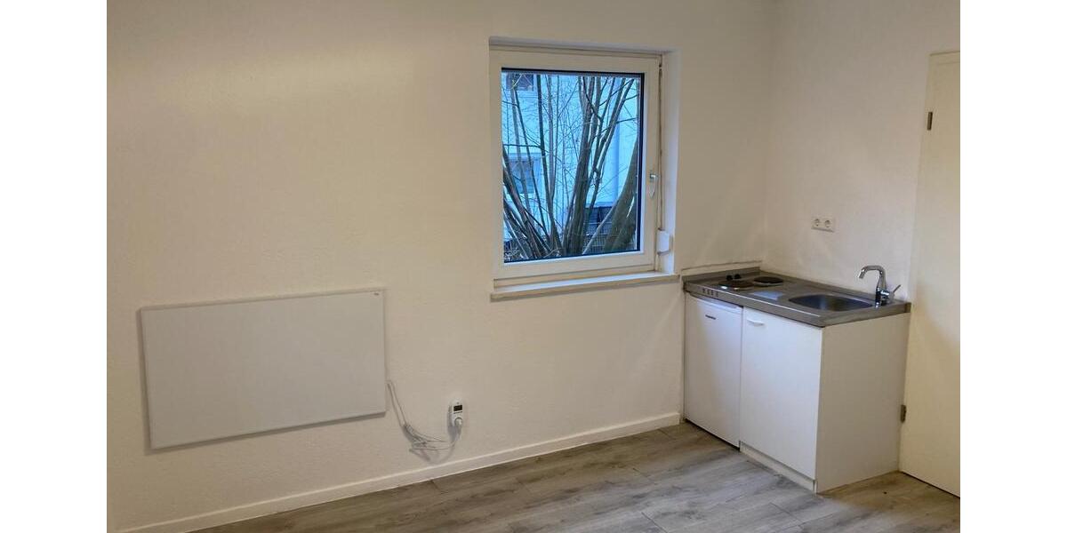 Frisch renovierte 1-Zimmer Wohnung im EG + Arbeitszimmer 2 zimmer