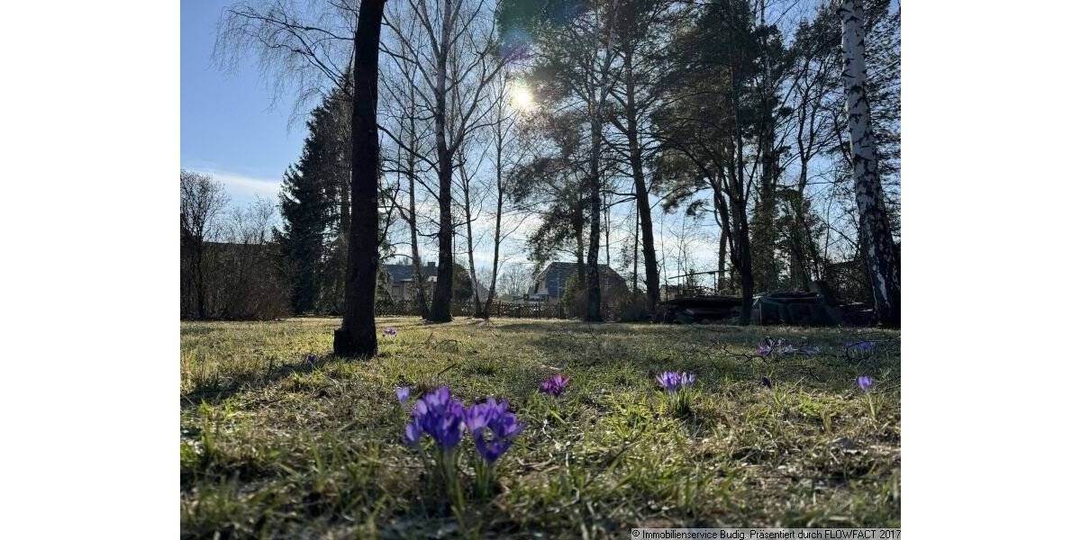 Grundstück Grünheide Hangelsberg - 196.000&euro; | Angebot:24028902