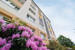 ++ leerstehende 3-Raum Eigentumswohnung in Limbach-Oberfrohna - individuelle Gestaltung ++