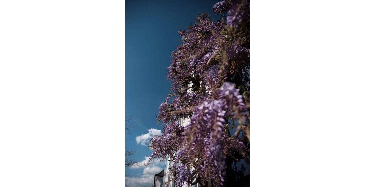 Reihenendhaus Wiesloch - 6 Zimmer, 168 m&sup2;, 525.000&euro; | Angebot:26261486