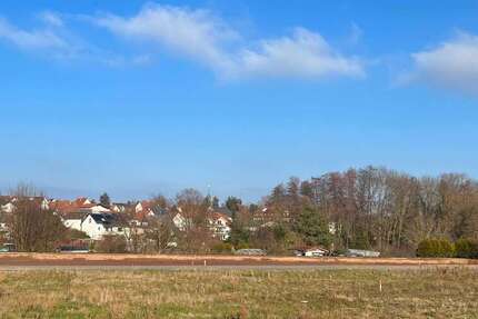 Grundstück Reinheim - 299.000&euro; | Angebot:22548930