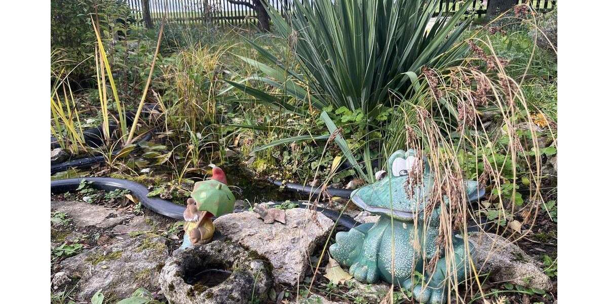 Ländliches Freizeit-Gartengrundstück mit Bungalow zimmer