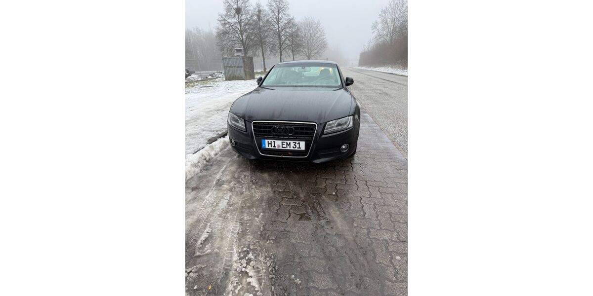 Audi A5 204.000 km 7.000 &euro; Freden 31084