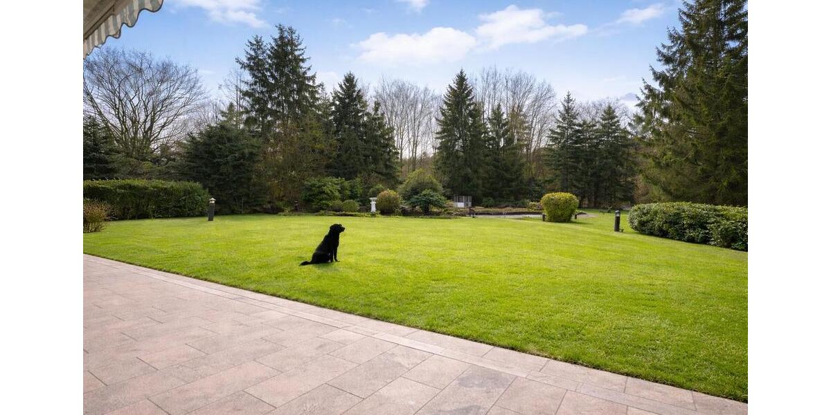 Bungalow Osterode am Harz - 6 Zimmer, 159 m&sup2;, 559.000&euro; | Angebot:26785609