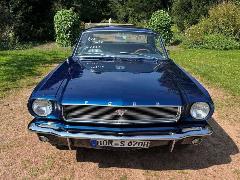 Mustang