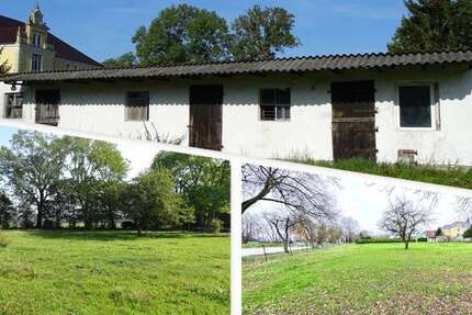 Grundstück Trent - 97.900&euro; | Angebot:18430962