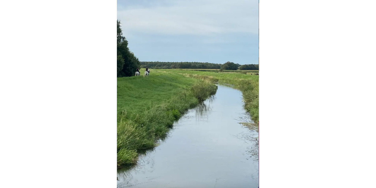 Bauernhaus, Landhaus Süderlügum - 4 Zimmer, 120 m&sup2;, 115.000&euro; | Angebot:25513421