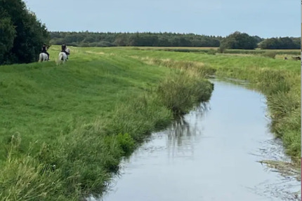 Haus Süderlügum - 4 Zimmer, 120 m&sup2;, 115.000&euro; | Angebot:25513421