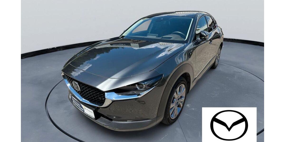 Mazda CX-30 53.434 km 23.990 &euro; Altensteig 72213