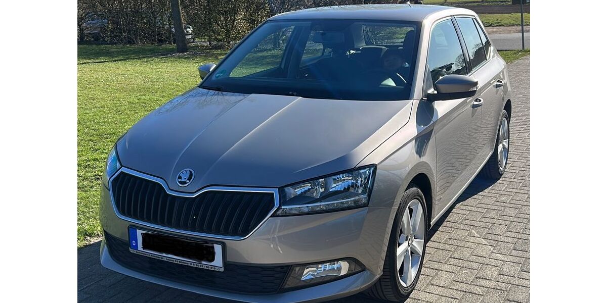 Skoda Fabia 90.000 km 8.600 &euro; Uetze 31311