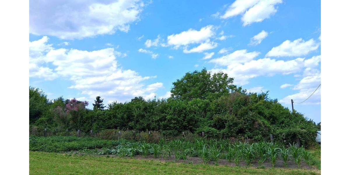 Grundstück Luckenwalde - 199.000&euro; | Angebot:26868673