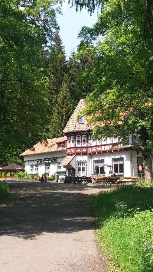 Haus zum Kaufen in Oberhof 1.250.000 € 716 m²