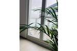 Gewerbeobjekt Saarbrücken St Johann - 199&euro; | Angebot:25711521