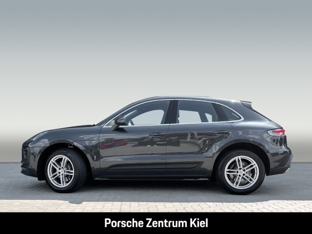 Macan