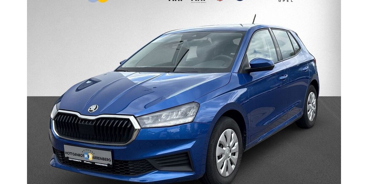Skoda Fabia 61.050 km 13.990 &euro; Altenkirchen 57610