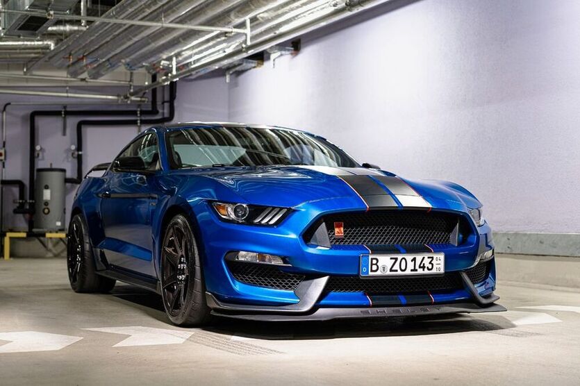 Mustang