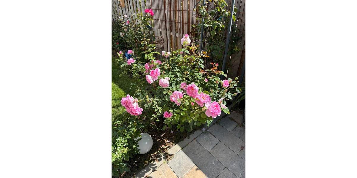 Bauernhaus in Gumbsheim zu vermieten 5 zimmer