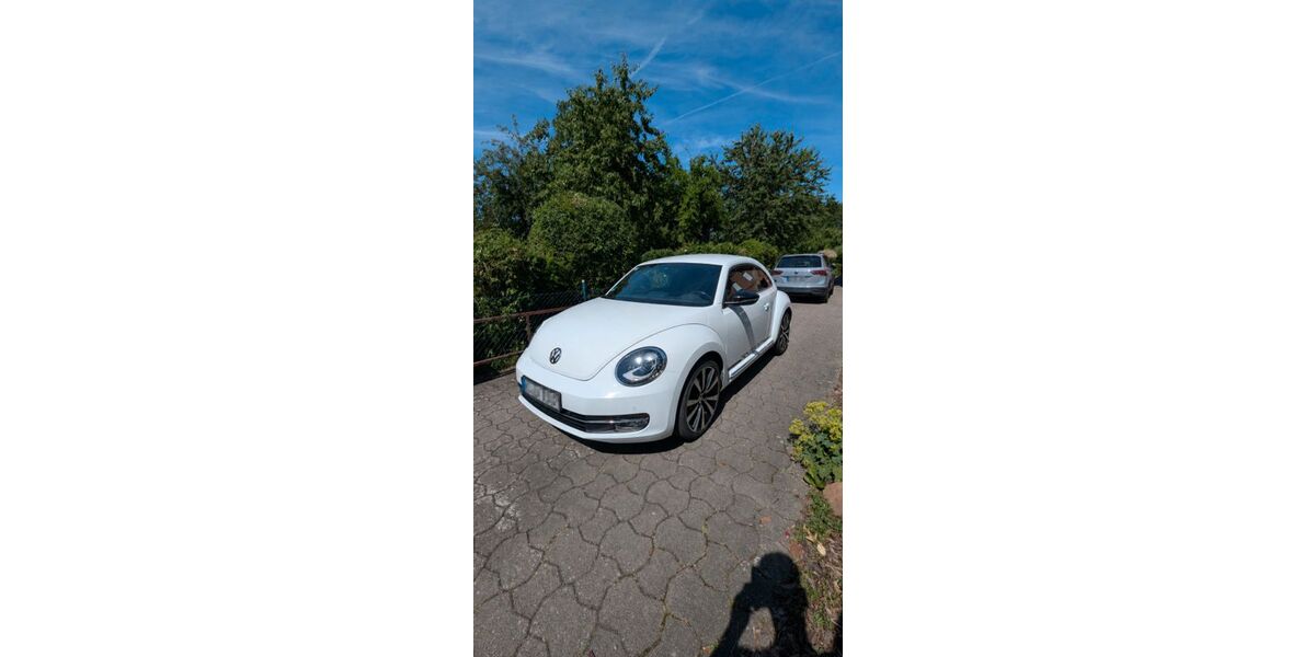 VW Beetle 117.929 km 18.000 &euro; Mehle 31008