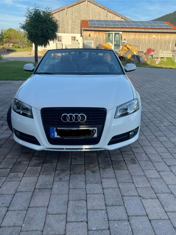 A3