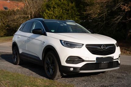 Opel Grandland (X) 81.000 km 14.500 &euro; Kahl am main 63796