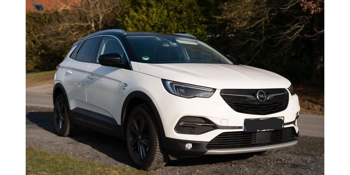 Opel Grandland (X) 81.000 km 14.500 &euro; Kahl am main 63796
