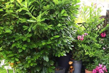 Weinberge vor der Haustür - so macht Wohnen Freude 4 zimmer