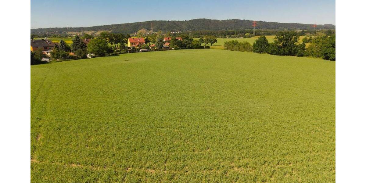 Grundstück Pirna Birkwitz - 249.000&euro; | Angebot:26740261