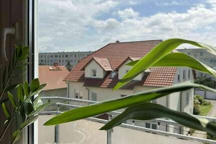 Wohnung Halle Südstadt - 3 Zimmer, 68 m&sup2;, 628&euro; | Angebot:26692386
