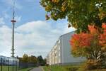 Etagenwohnung Calau - 3 Zimmer, 60 m&sup2;, 363&euro; | Angebot:25748438