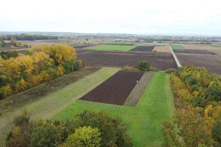 Sonstige Wallersdorf - 33.480&euro; | Angebot:25196541