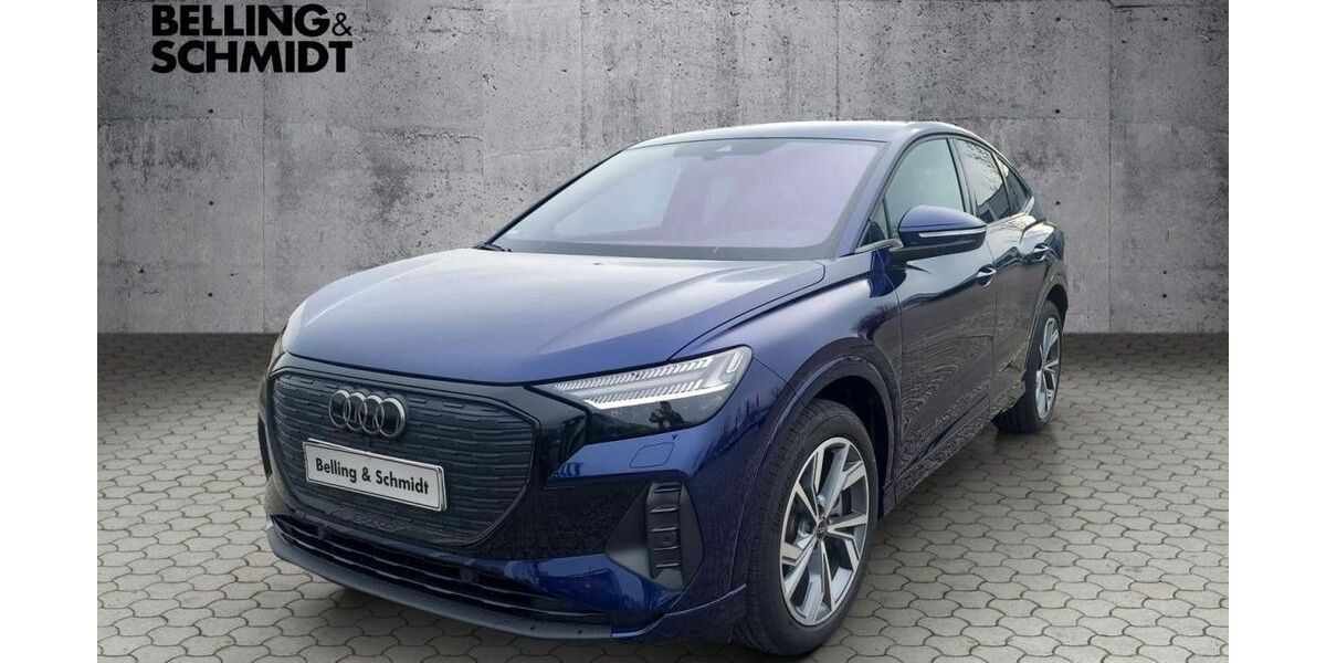Audi Q4 e-tron 50.000 km 59.330 &euro; Dannenberg 29451
