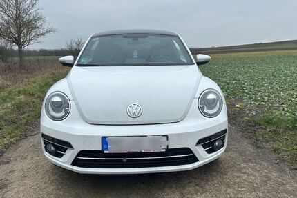 VW Beetle 69.668 km 17.000 &euro; Gensingen 55457