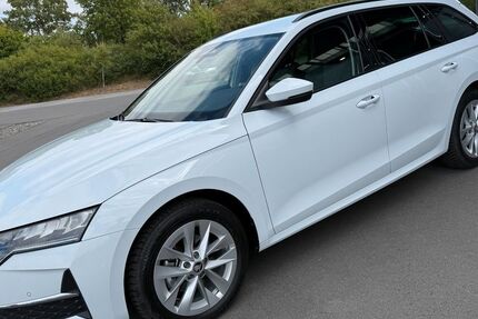 Skoda Octavia 18.998 km 29.980 &euro; Bitburg 54634