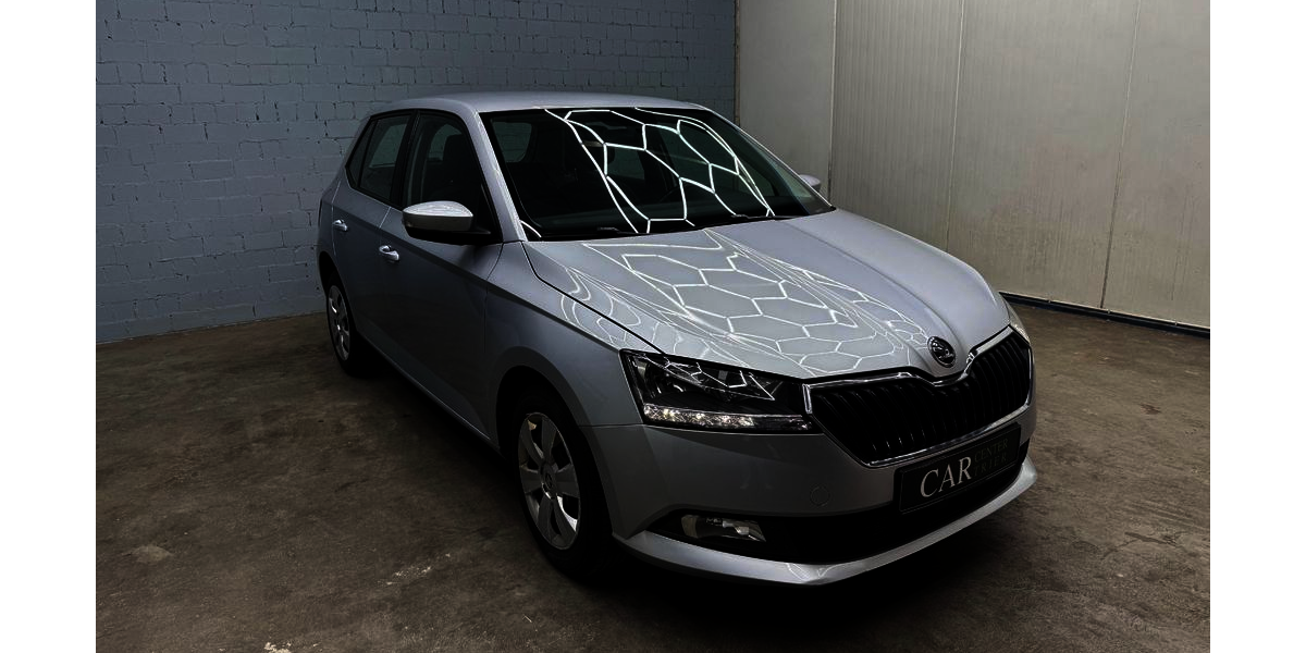 Skoda Fabia 115.600 km 9.890 &euro; Trier 54294