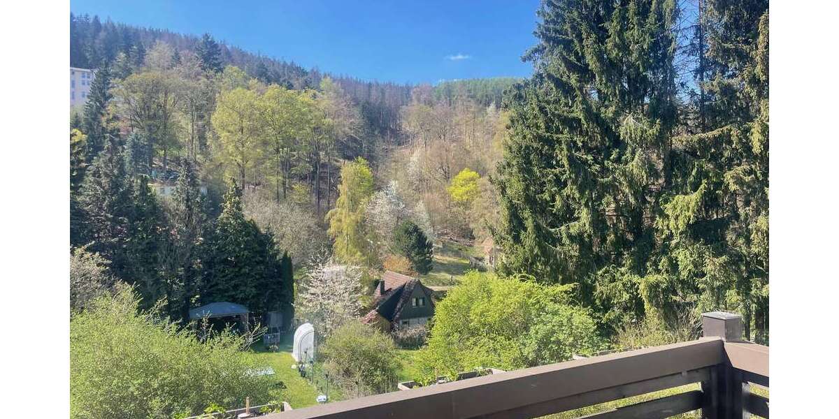 Etagenwohnung Elgersburg - 3 Zimmer, 100 m&sup2;, 650&euro; | Angebot:26408928