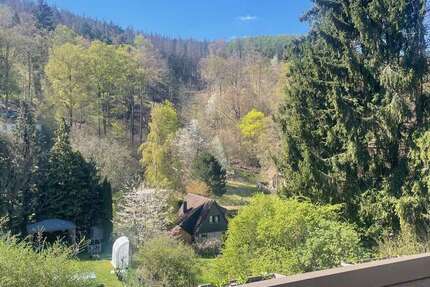 Wohnung Elgersburg - 3 Zimmer, 100 m&sup2;, 650&euro; | Angebot:26408928